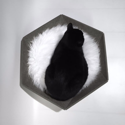 即時交付| Atomo（灰色）復古現代貓床簡約北歐斯堪的納維亞黑貓 第3張的照片