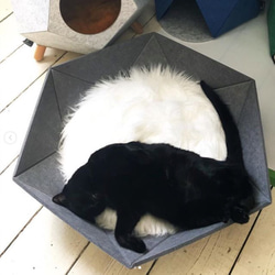 即時交付｜ Atomo（紅色）六角貓床，使用吸音毛氈，甚至適用於室內狗 第8張的照片