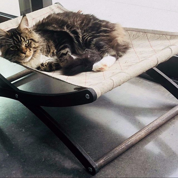 「キングサイズ」 猫ハンモック X型 大きな猫 大型ベッド ノルウェージャンフォレストキャット （エボニー） 3枚目の画像