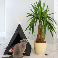 受注製作｜サイズ２種類 水濡れに強い 猫 犬 テント ハウス ティピー（ブラックテント x ピクセル） 1枚目の画像