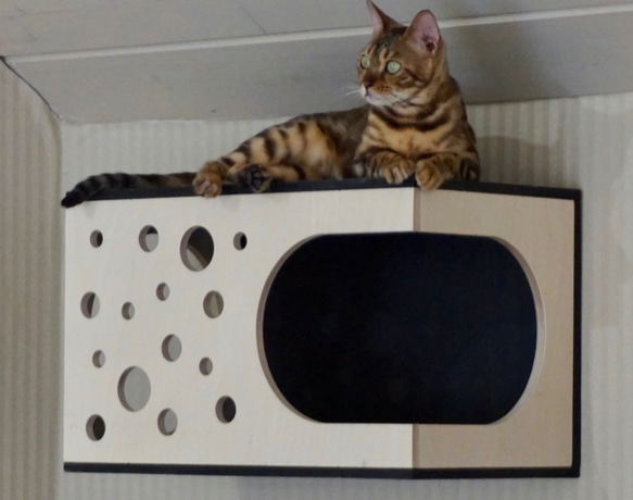 暫停訂單｜波點圖案壁掛式貓屋貓床 第1張的照片