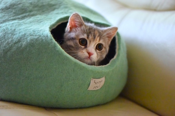 即時交付｜薄荷綠（M）羊毛氈提洛爾羊毛二手貓床Cat Bukuro 第1張的照片