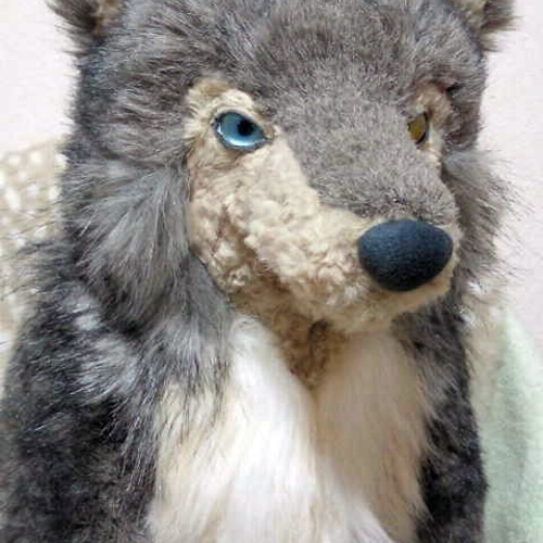 オオカミさん 狼 アーティストベア 海外作家様 ハンドメイド ぬいぐるみ 置物 オッドアイの大きなオオカミさん 2018年1月生まれ ぬいぐるみ 縞猫工房