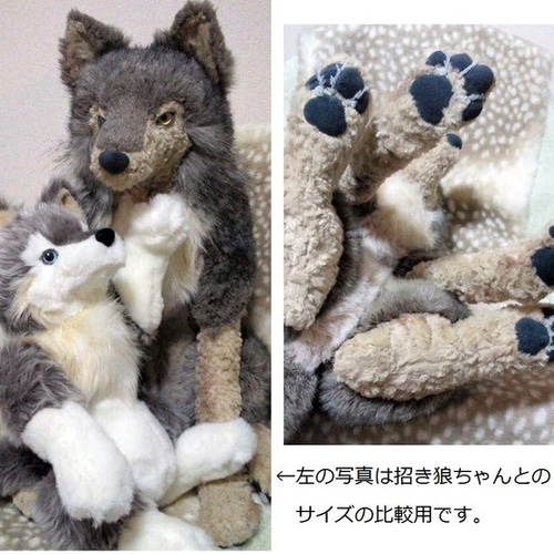 オッドアイの大きなオオカミさん 2018年1月生まれ ぬいぐるみ 縞猫工房