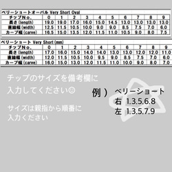 レオパード×シルバーニュアンスネイルチップ 3枚目の画像