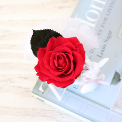 【再販】赤いバラをかかえた森のうさぎさん（プリザーブドフラワー） 2枚目の画像