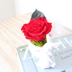 【再販】赤いバラをかかえた森のうさぎさん（プリザーブドフラワー） 3枚目の画像