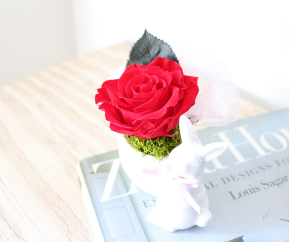 【再販】赤いバラをかかえた森のうさぎさん（プリザーブドフラワー） 3枚目の画像