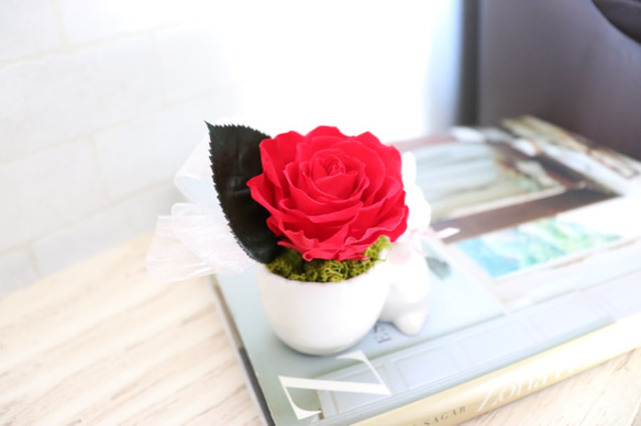 【再販】赤いバラをかかえた森のうさぎさん（プリザーブドフラワー） 4枚目の画像