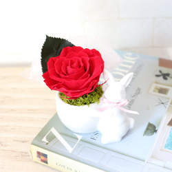 【再販】赤いバラをかかえた森のうさぎさん（プリザーブドフラワー） 5枚目の画像