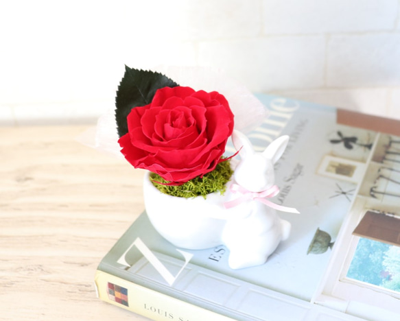 【再販】赤いバラをかかえた森のうさぎさん（プリザーブドフラワー） 5枚目の画像