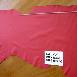 【半裁サイズでお見積します！】ステア 日本産原皮 牛革 ウレタン仕上 #10朱赤 1枚目の画像