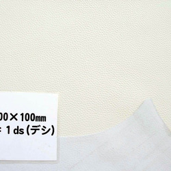 【半裁サイズでお見積します！】ステア 日本産原皮 牛革 ウレタン仕上 #01オフホワイト 2枚目の画像