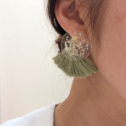 ホワイトドライフラワーと淡色グリーンのピアス(イヤリング) ピアス 