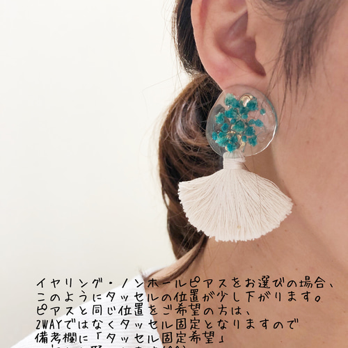 ホワイトドライフラワーと淡色グリーンのピアス(イヤリング) ピアス 