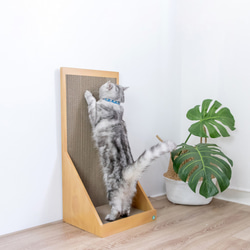 【安閣家】壁咚貓抓板 (原木色) 贈送純天然木天蓼 - 預購 第1張的照片