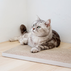 【安閣家】頑強 貓抓板 (2片) | 清新白 (贈送純天然木天蓼) 第1張的照片