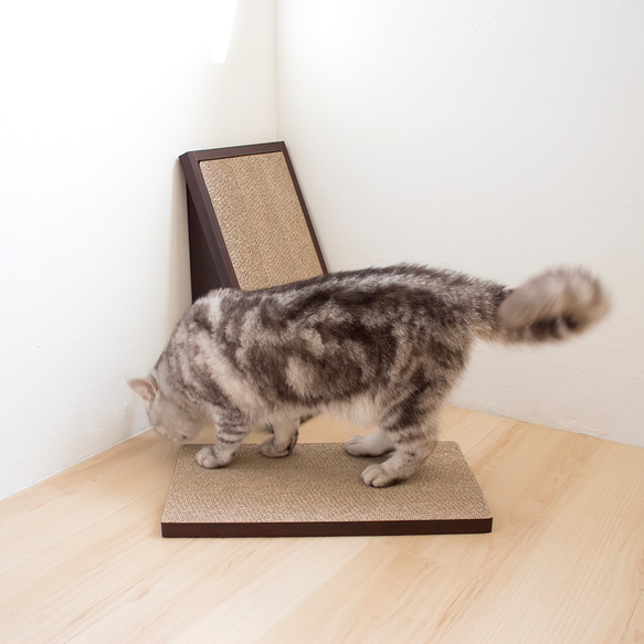 【安閣家】頑強 貓抓板 (2片) | 胡桃木 (贈送純天然木天蓼) 第2張的照片