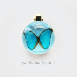青い蝶のマスククリップ 2枚目の画像