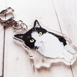 猫のアクリル画 トランクデザイン ゼンレスゾーンゼロ 白祇重工 影画PETクリアカード | 福猫屋