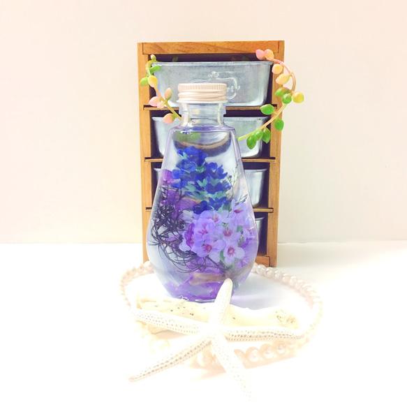 （標本室）漂亮薰衣草Murasakihana混合植物圖鑑燈泡形玻璃瓶（pajour）（禮品） 第1張的照片