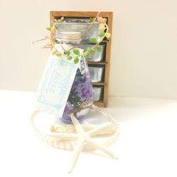 （標本室）漂亮薰衣草Murasakihana混合植物圖鑑燈泡形玻璃瓶（pajour）（禮品） 第4張的照片