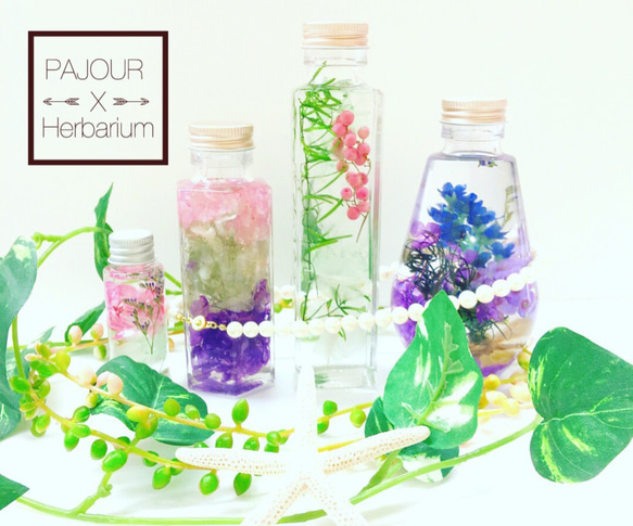 （標本室）漂亮薰衣草Murasakihana混合植物圖鑑燈泡形玻璃瓶（pajour）（禮品） 第5張的照片