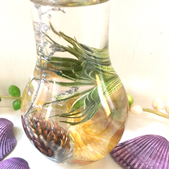 （標本館）漿果混合植物標本館燈泡形瓶（pajour）（禮品）的癒合 第2張的照片