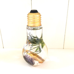 (Herbarium) 癒しの木ノ実フルーツミックスハーバリウム電球型ボトル(pajour)(ギフト) 3枚目の画像