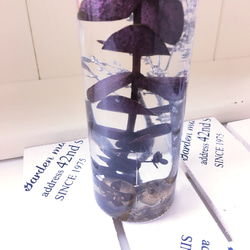 (Herbarium) 麗しのユーカリ紫花ミックスハーバリウム電球型ガラスボトル(pajour)(ギフト) 4枚目の画像