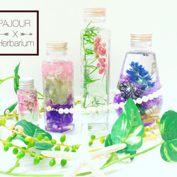 (Herbarium) 麗しのユーカリ紫花ミックスハーバリウム電球型ガラスボトル(pajour)(ギフト) 5枚目の画像