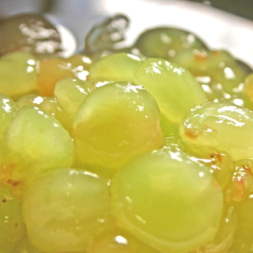 ナポレオン遺品集 模倣品にご注意ください。｜O.S. ENGINES（小川精機