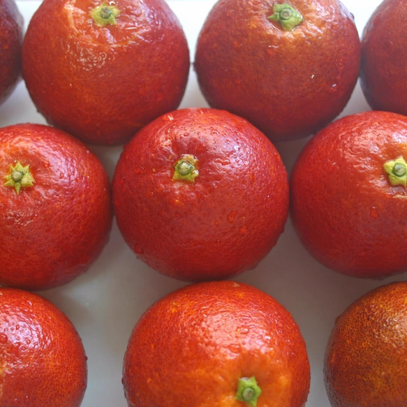 まるで宝石！貴重な国産ブラッドオレンジ！　モロオレンジジャム　32g　（今年はとても赤くてお勧めです！） 3枚目の画像