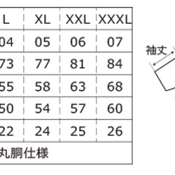  第3張的照片