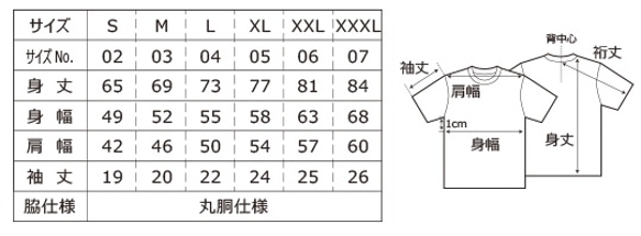  第3張的照片