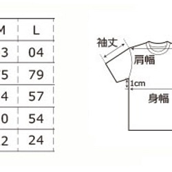  第3張的照片