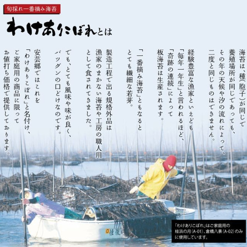 ご家庭用 焼き海苔 倉橋八景【国産 海苔】【焼きのり】 ドライフルーツ