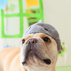 犬用　かぶりもの　帽子　サメ 2枚目の画像