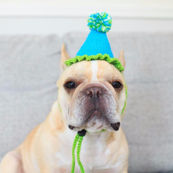 犬用　かぶりもの　帽子　誕生日祝い 2枚目の画像