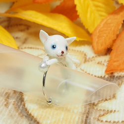 白猫ちゃんのリング 3枚目の画像