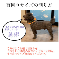 ◯雑誌掲載◯【優しいつけ心地】 三つ編みタイプ リボン付き 猫・犬用 本革首輪  迷子札つきで安心♪ 柔らかい革 6枚目の画像