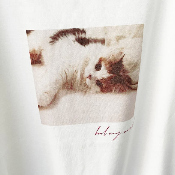 子猫　フォトプリント　Tシャツ　レディースシルエット 1枚目の画像