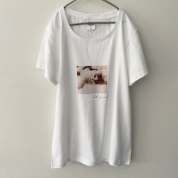 子猫　フォトプリント　Tシャツ　レディースシルエット 3枚目の画像