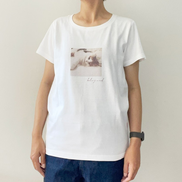 子猫　フォトプリント　Tシャツ　レディースシルエット 4枚目の画像