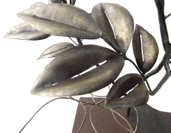 【鉄の植物　カセキの時間シリーズ】OKP-063　薔薇-アズナブール 7枚目の画像