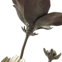 【鉄の植物　カセキの時間シリーズ】OKP-093　天の雫A　コスモス 5枚目の画像