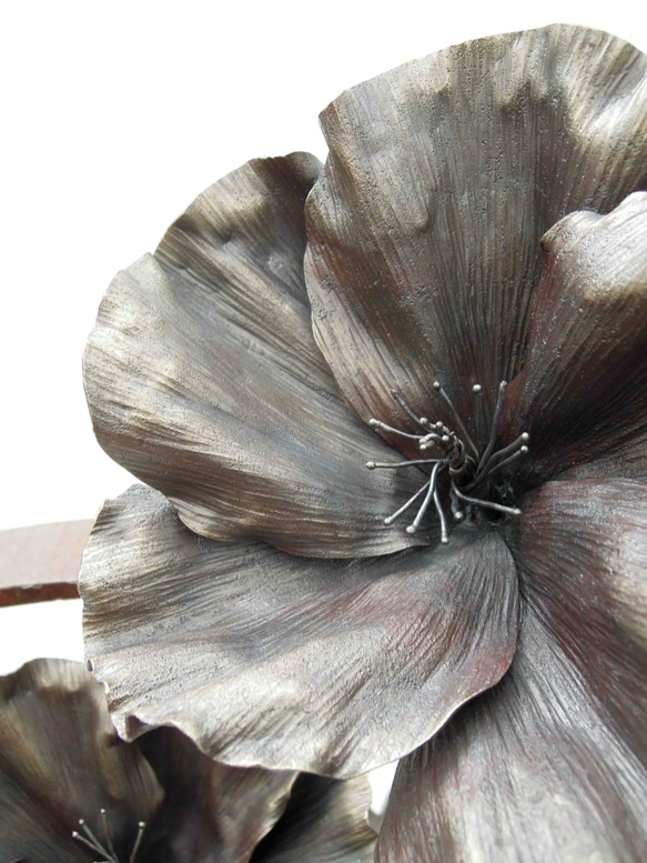 【鉄の植物　カセキの時間シリーズ】OKP-092　天の雫A　ハイビスカス 3枚目の画像
