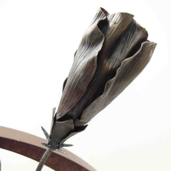 【鉄の植物　カセキの時間シリーズ】OKP-092　天の雫A　ハイビスカス 4枚目の画像