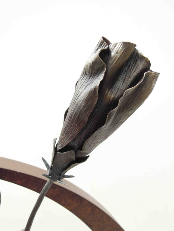 【鉄の植物　カセキの時間シリーズ】OKP-092　天の雫A　ハイビスカス 4枚目の画像
