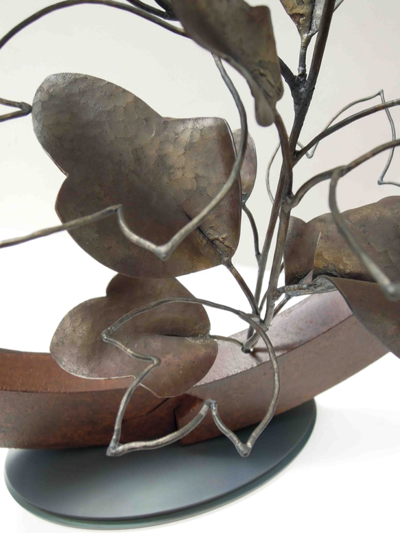 【鉄の植物　カセキの時間シリーズ】OKP-092　天の雫A　ハイビスカス 5枚目の画像